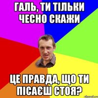 ГАЛЬ, ТИ ТІЛЬКИ ЧЕСНО СКАЖИ ЦЕ ПРАВДА, ЩО ТИ ПІСАЄШ СТОЯ?