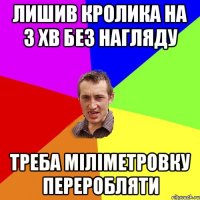 Лишив кролика на 3 хв без нагляду треба міліметровку переробляти