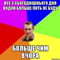 Все з сьогоднішнього дня водки больше пить не буду больше чим вчора