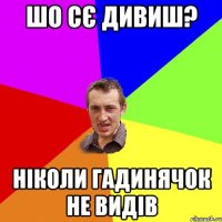 шо сє дивиш? ніколи гадинячок не видів