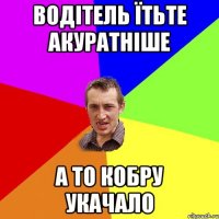 водітель їтьте акуратніше а то кобру укачало