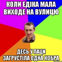 Коли Едіка мала виходе на вулицю десь у паци загрустіла одна кобра