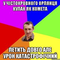 У чістокровного орлянця кулак як комета Летить довго але урон катастрофічний