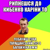 Рипнешся до Кибенко Каріни то Побачиш сука Таращанський ліс з Багажніка BMW