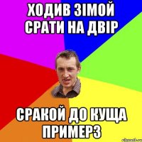 ХОДИВ ЗІМОЙ СРАТИ НА ДВІР СРАКой ДО КУЩА ПРИМЕРЗ