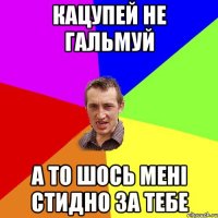 Кацупей не гальмуй а то шось мені стидно за тебе