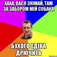 хаха, вася знімай, там за забором мій собака бухого Едіка дрючить