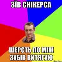 зїв снікерса шерсть по між зубів витягую