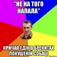 "НЕ НА ТОГО НАПАЛА" КРИЧАВ ЕДІК В БРЕКИТАХ ПОКУШЕНІЙ СОБАЦІ