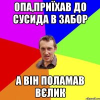 Опа,приїхав до сусида в забор а він поламав вєлик