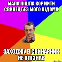 Мала пішла кормити свиней,без мого відома заходжу в свинарник не впізнав