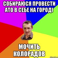 Собираюся провести АТО в себе на городі мочить колорадов