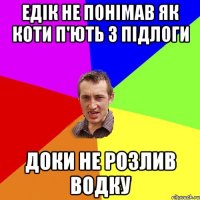 Едік не понімав як коти п'ють з підлоги доки не розлив водку