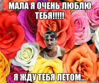 мала я очень люблю тебя!!!!! я жду тебя летом...