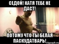 Седой! Катя тебе не даст! Потому что ты белая паскудатварь!