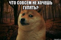 Что совсем не хочешь гулять? 