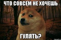 Что совсем не хочешь гулять?