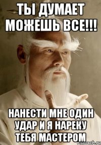 ты думает можешь все!!! нанести мне один удар и я нареку тебя мастером