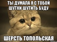 ты думала я с тобой шутки шутить буду шерсть топольская