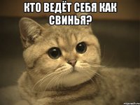 Кто ведёт себя как свинья? 