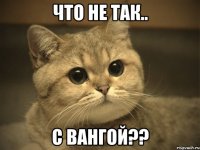 Что не так.. С Вангой??