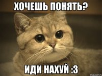 Хочешь понять? Иди нахуй :3