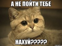 А НЕ ПОЙТИ ТЕБЕ НАХУЙ?????