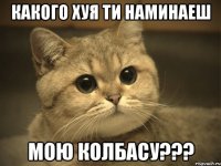 КАКОГО ХУЯ ТИ НАМИНАЕШ МОЮ КОЛБАСУ???