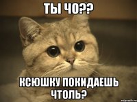 ты чо?? ксюшку покидаешь чтоль?