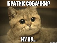 братик собачки? ну ну...