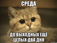 Среда до выходных ещё целых два дня