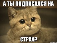 А ты подписался на Страх?