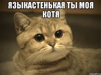 Языкастенькая ты моя Котя 