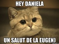 hey Daniela Un Salut de la Eugen)