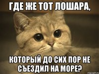 Где же тот лошара, Который до сих пор не съездил на море?