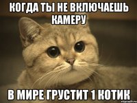 Когда ты не включаешь камеру В Мире грустит 1 котик