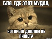 Бля, где этот мудак, который диплом не пишет?