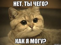 Нет, ты чего? Как я могу?