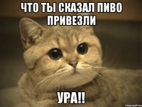 ЧТО ТЫ СКАЗАЛ ПИВО ПРИВЕЗЛИ УРА!!