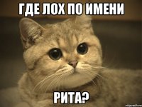 Где лох по имени Рита?