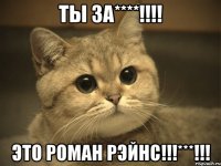 Ты за****!!!! Это РОМАН РЭЙНС!!!***!!!