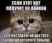 если этот кот получит 90 лайков то я поставлю на аву того человека которого люблю