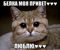 Белка моя привет♥♥♥ люблю♥♥♥