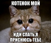 Котенок мой иди спать,я приснюсь тебе