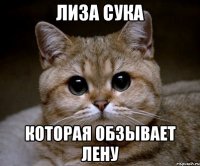 Лиза сука которая обзывает Лену