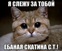 Я слежу за тобой ебаная скатина с.т.!