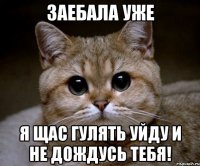 заебала уже я щас гулять уйду и не дождусь тебя!