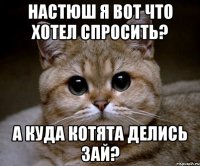 настюш я вот что хотел спросить? а куда котята делись Зай?