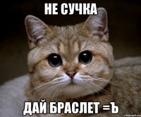 Не сучка дай браслет =Ъ