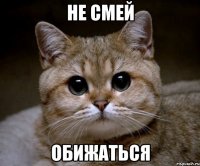 не смей обижаться